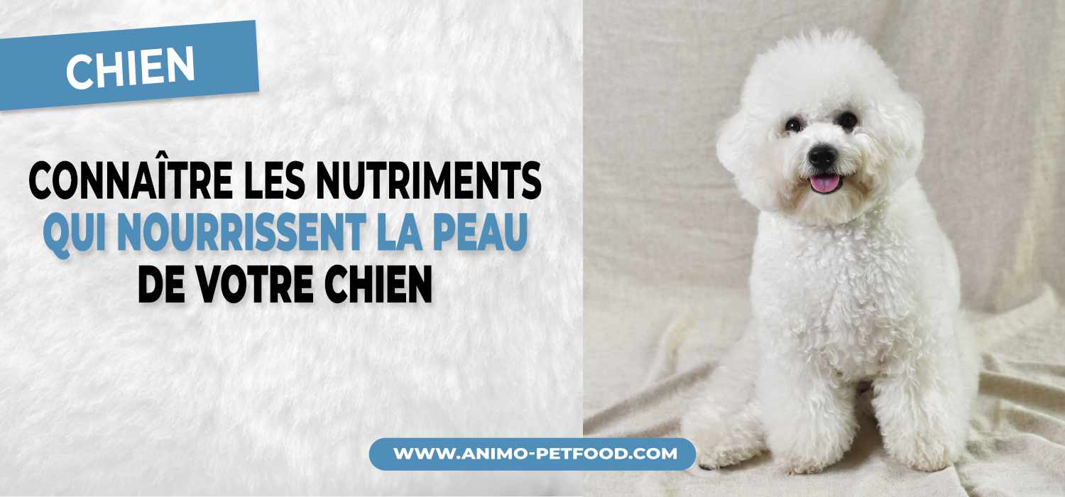 nutriments-pour-prendre-soin-peau-pelage-du-chien-et-du-chiot